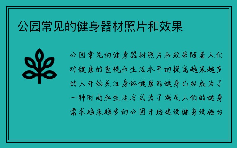 公园常见的健身器材照片和效果