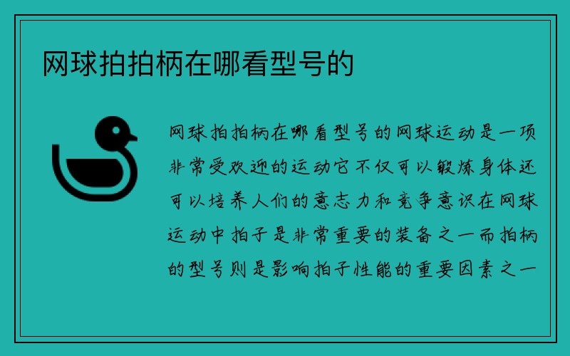 网球拍拍柄在哪看型号的