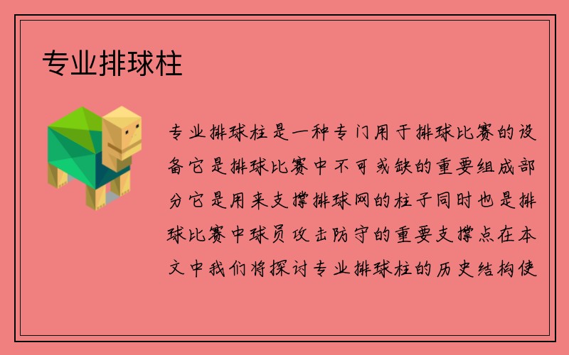 专业排球柱